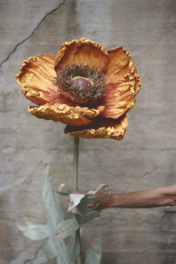 Papirblomst valmue 130 cm rust
