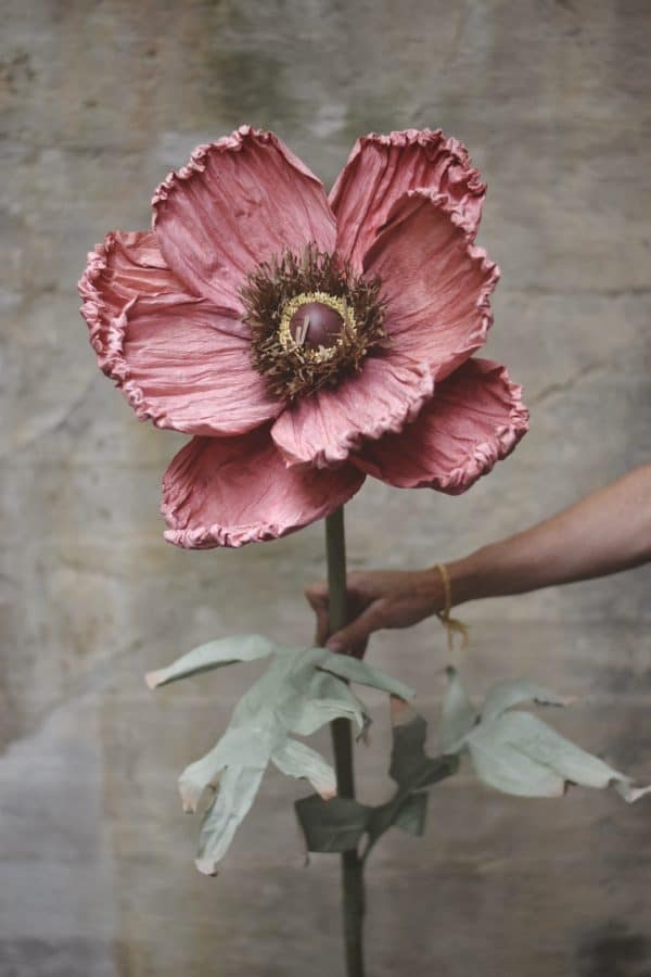 Papirblomst valmue 130 cm støvet rosa