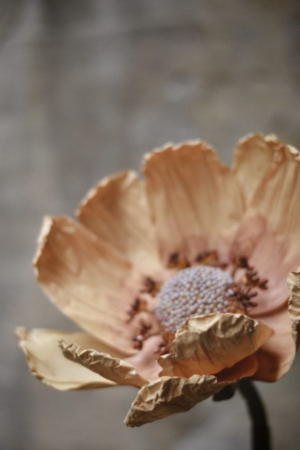 Papirblomst anemone 123 cm gul - Bilde 2