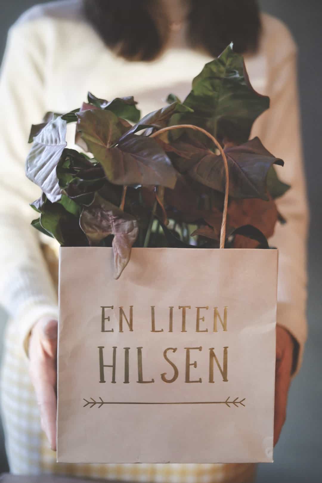 Gaveposer/papirprodukter