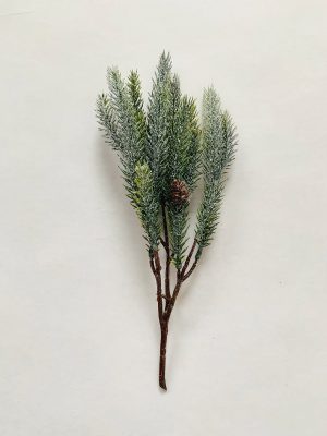 Grankvist m snø 30 cm