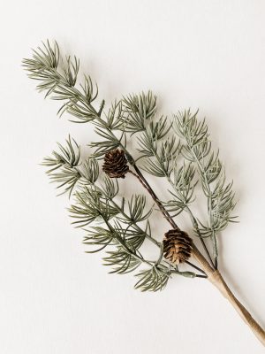 Gren støvet grønn 35 cm