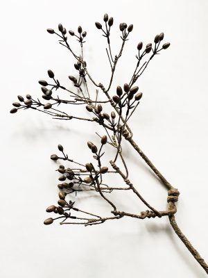 Gren m bær 85 cm sort