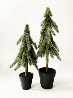 Tre i potte h 48 cm