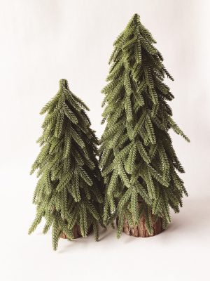Grantre A på trefot h 23 cm