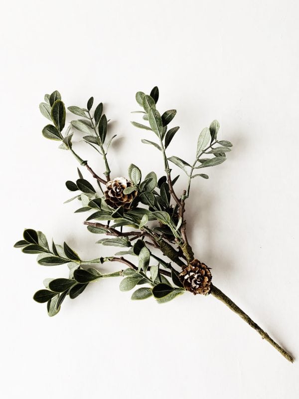 Kvist m kongler og blad 26 cm