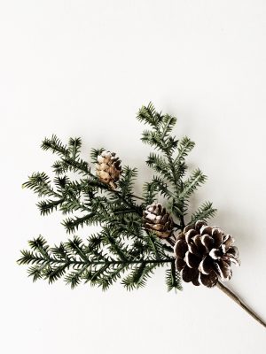 Gren gran m kongler 30 cm