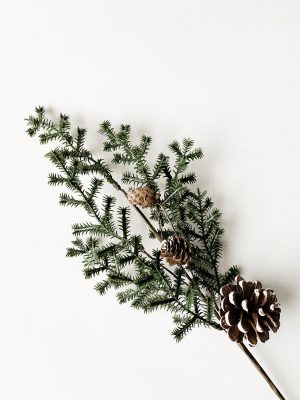 Gren gran m kongler 50 cm